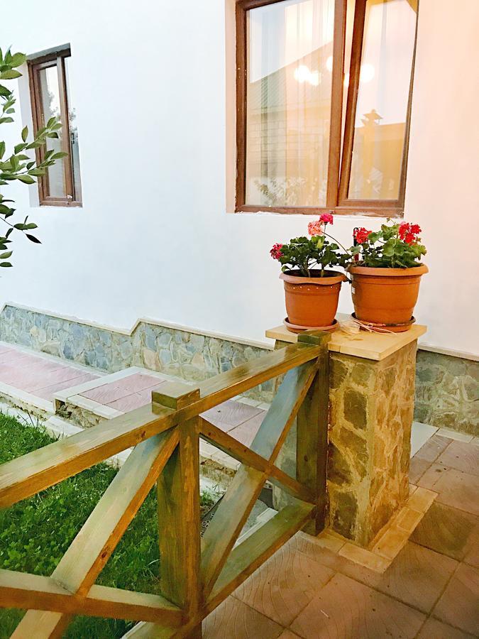 Gabala Sweet Lounge Βίλα Εξωτερικό φωτογραφία